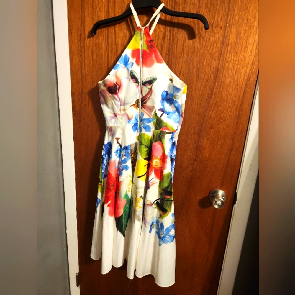 Ted Baker Size 2 Floral Dress